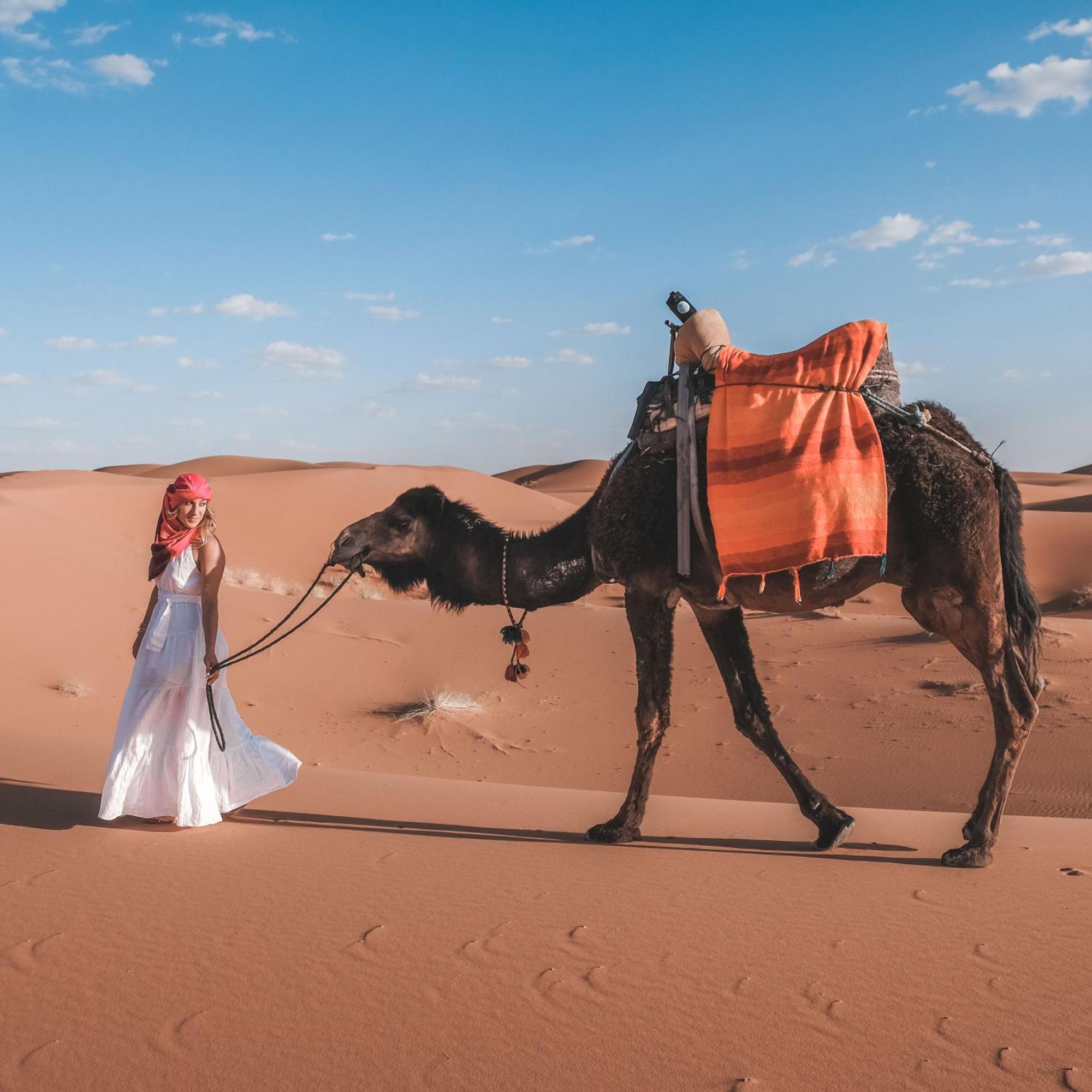 Camel Luxury Camp Bed and Breakfast Merzouga Eksteriør billede